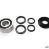 Polaris RZR Front Differential Bearing and Seal Kit