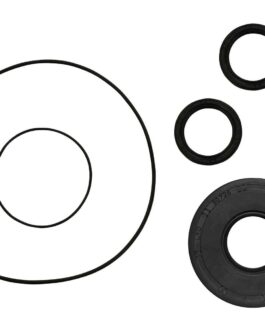 Polaris RZR Front Differential Seal Kit