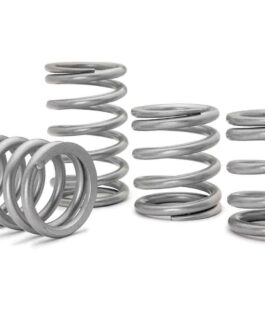 Polaris RZR Turbo S Tender Springs