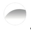 Assault Industries Sidewinder Mirror Convex Glass Replacement