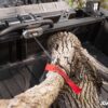 Can-Am Defender Bed Winch - Image 6