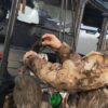 Polaris Ranger XP 570 Outfitter Bed Rack - Image 18